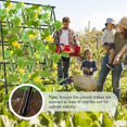 thumbnail image 4 of Sedeke 6ft Cucumber Trellis for Raised Bed, Garden Trellis for Climbing Plants Outdoor, A Frame Metal Trellis Support with Net for Vegetables Vines, 4 of 7