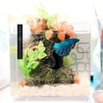 thumbnail image 4 of Termómetro adhesivo para acuario, medición precisa de la temperatura del tanque, ideal para peces, camarones y tortugas, instalación con despegar y pegar, 4 of 8