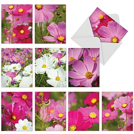 'M6029 COSMOS-POLITAN' 10 Assorted All Occasions Note Cards Feature Graceful Pink and White Floral Blooms with Envelopes by The Best Card