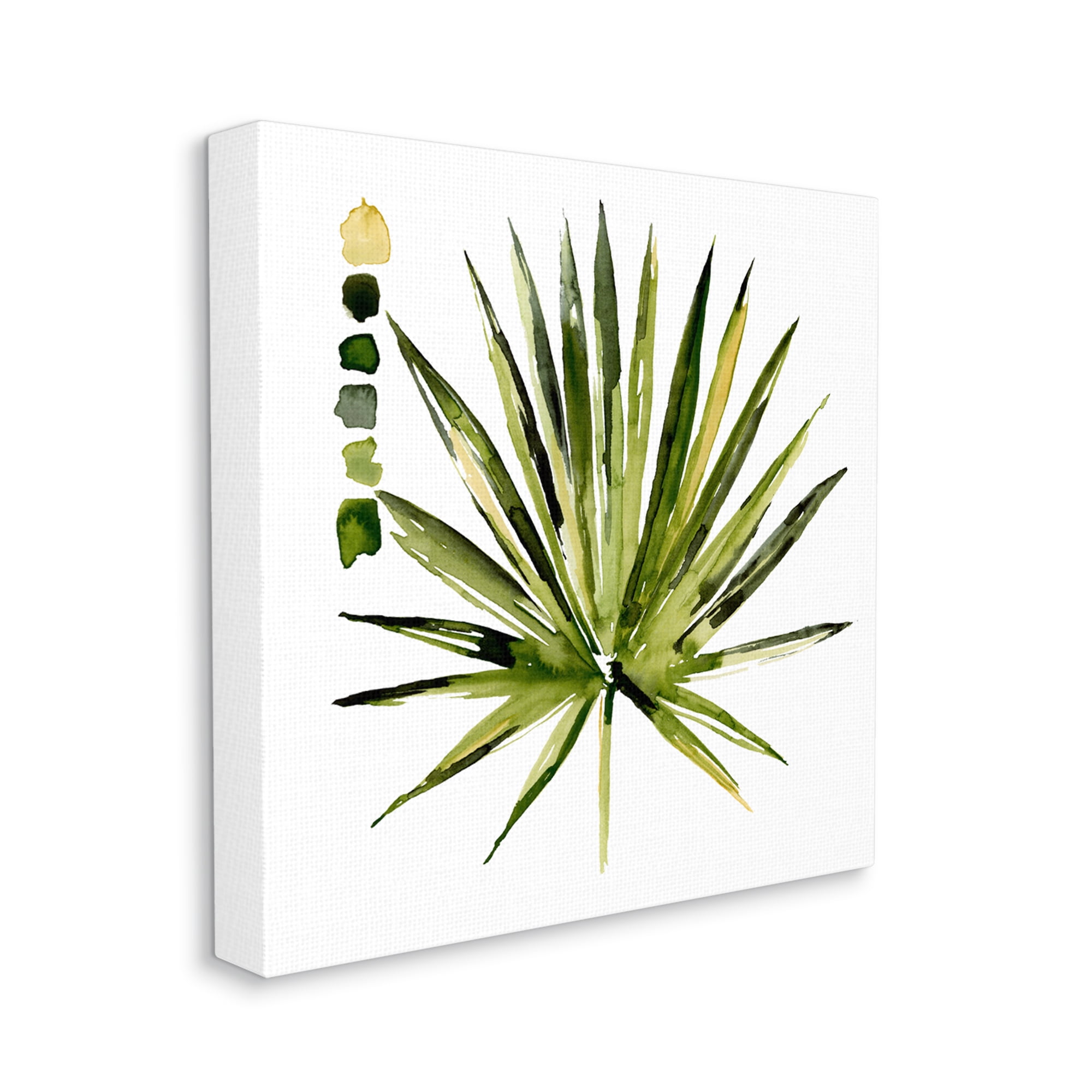Stupell Industries Succulent Aloe Plant Spiky Leaves Abstract Paint Scale,30 x 30, Design by Jennifer Paxton Parker