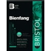 Bienfang Bristol Board Drawing Paper Pad, Regular, 9" x 12"