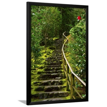 Camellia Wild Garden Portland Japanese Garden Portland Oregon Usa Framed Print Wall Art By Michel Hersen Walmart Com