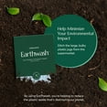Earthwash Laundry Detergent Sheets (Up To 64 Loads) 32 Ocean Breeze ...