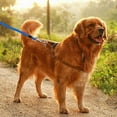 thumbnail image 1 of 8m Long Dog Tie Out Leash With Durable Swivel Clips And Chains For Outdoor Use In Yard Or Camping, 1 of 3