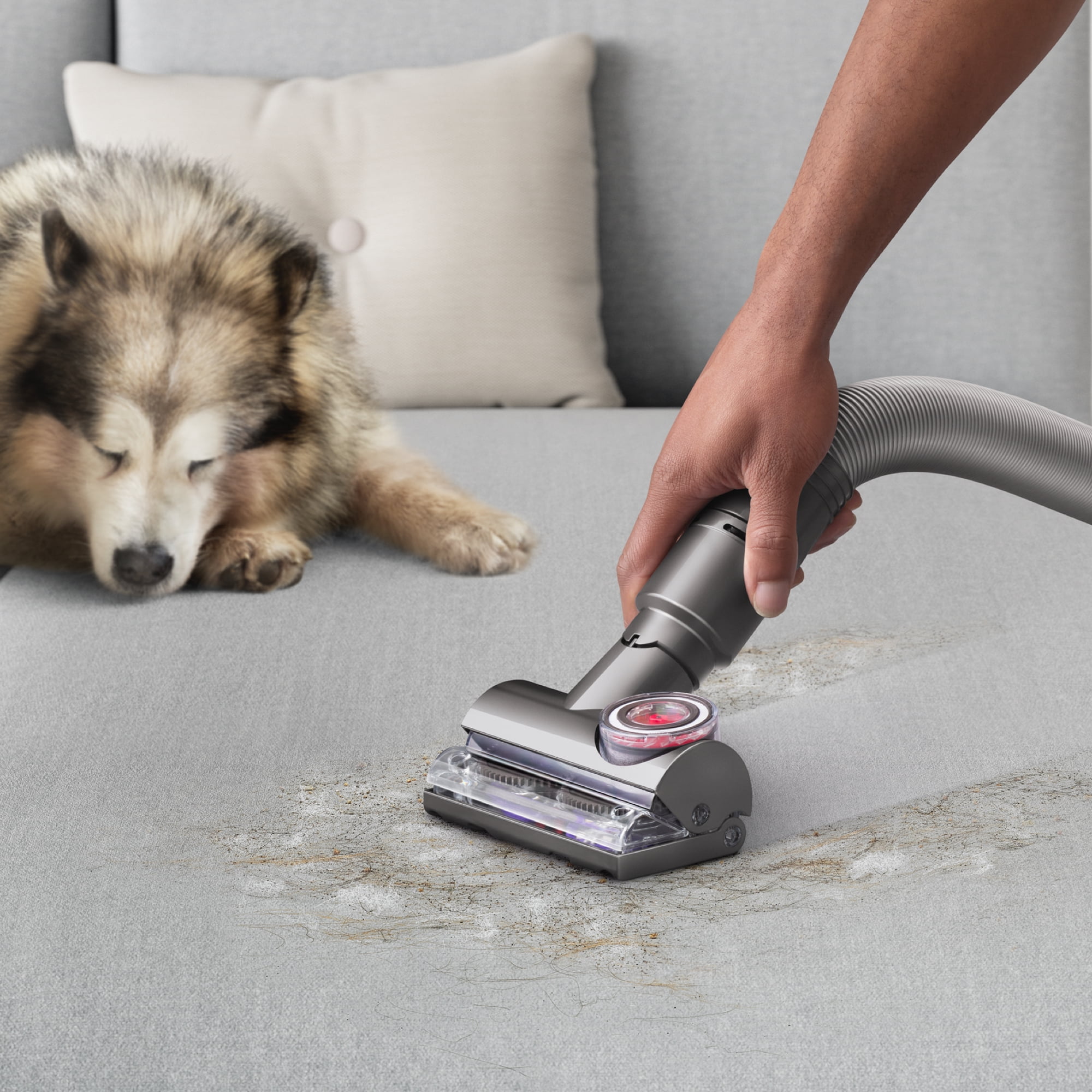 Dyson - kevinlv3 Dyson Pet Hair Ball Floor Upright Vacuum with Tangle-Free