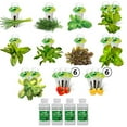 thumbnail image 2 of AeroGarden Salad Bar Seed Pod Kit (24-pod), 2 of 10