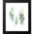 thumbnail image 2 of Bailey, Ann 20x24 Black Modern Framed Museum Art Print Titled - Watercolor Fern 1, 2 of 5