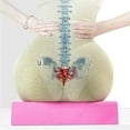 thumbnail image 4 of BKER Orthopedic Seat Cushion For Chair Ergonomic Coccyx Support Pillow With Design Pressure For Long Sitting Comfort, 4 of 4