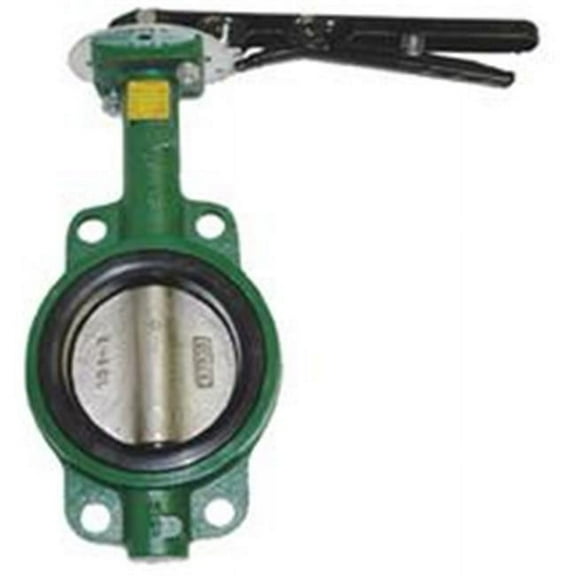 American Granby HBFV2 2 in. Cast Iron Butterfly Valve