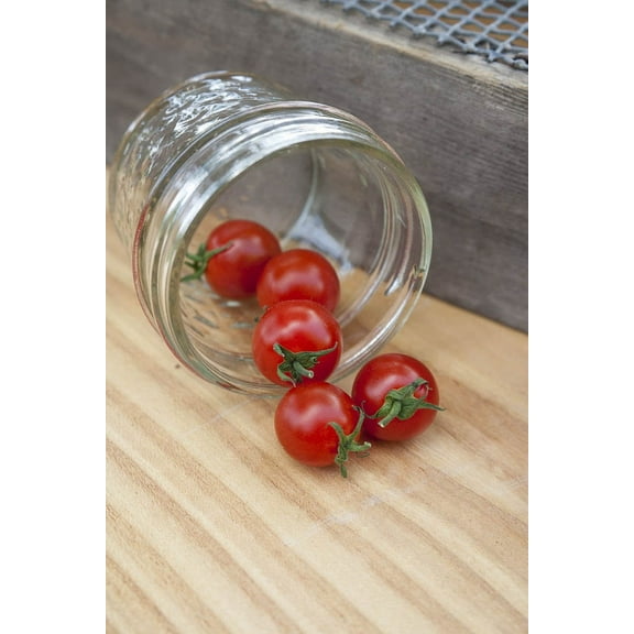 Sweet Aperitif Heirloom Cherry Tomato Premium Seeds Packet - Sweetest Tomato in The World