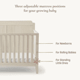 thumbnail image 5 of Little Seeds Sprig 6-in-1 Convertible Crib, 5 of 7