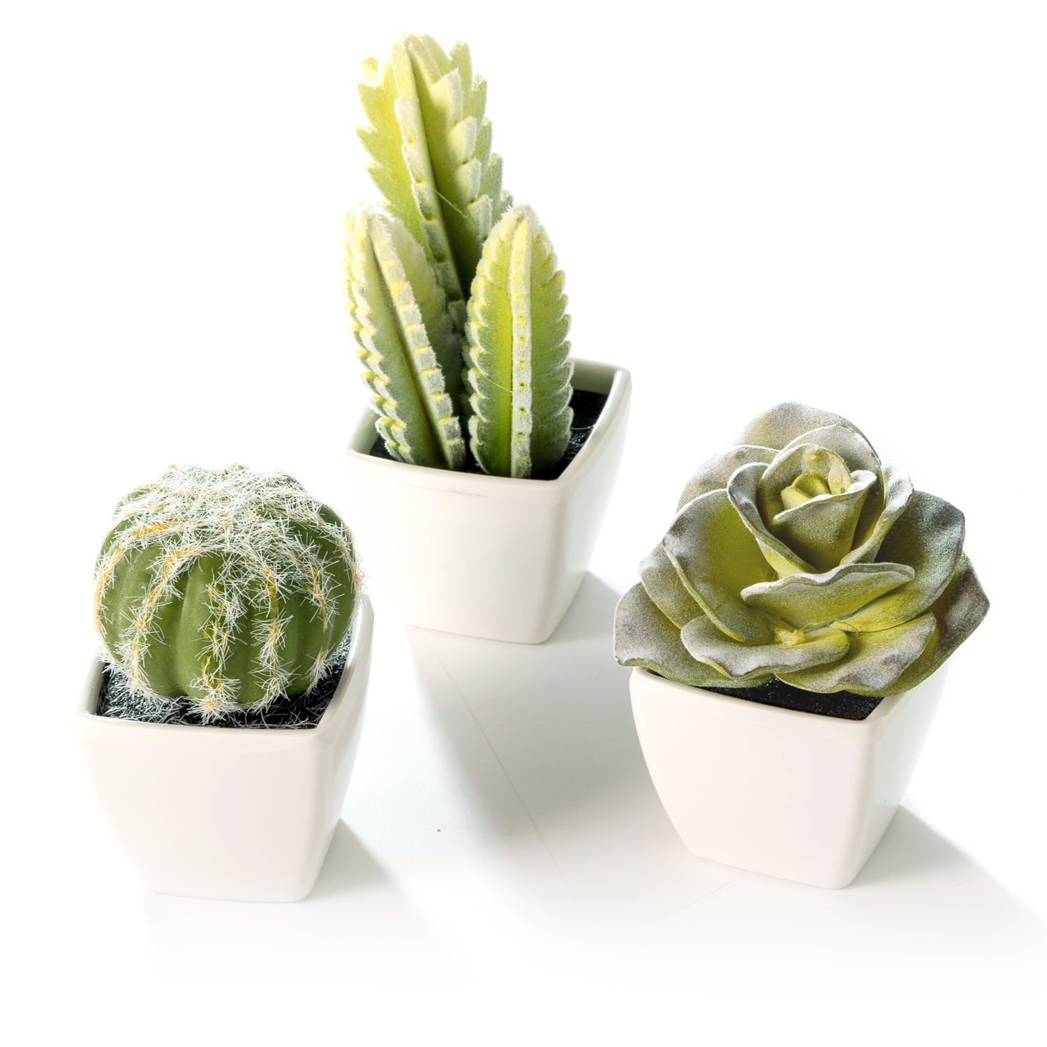 Artificial Mini Succulent & Cactus Plants in White Cube-Shaped Pots ...