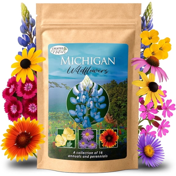 Michigan Wildflower Seed Mix, Covers 325 Sq Ft, 16 Flower Varieties, Over 40,000 Seeds - Created By Nature