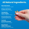 thumbnail image 6 of NeuroQ Memory & Focus - Boosts Cognitive Performance & Healthy Brain Function -Formula by Dr. Dale Bredesen - Gotu Kola Ginkgo Phosphatidylserine Coffee Fruit & Propolis - 60 Capsules, 6 of 7
