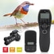 thumbnail image 5 of Control remoto inalámbrico con disparador temporizado, YouPro YP-870/E2 Ⅱ Control remoto inalámbrico con disparador temporizado Control remoto inalámbrico con disparador te, 5 of 9