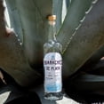 thumbnail image 2 of Pack de 2 Raicilla Huaraches de Plata 750 ml, 2 of 3