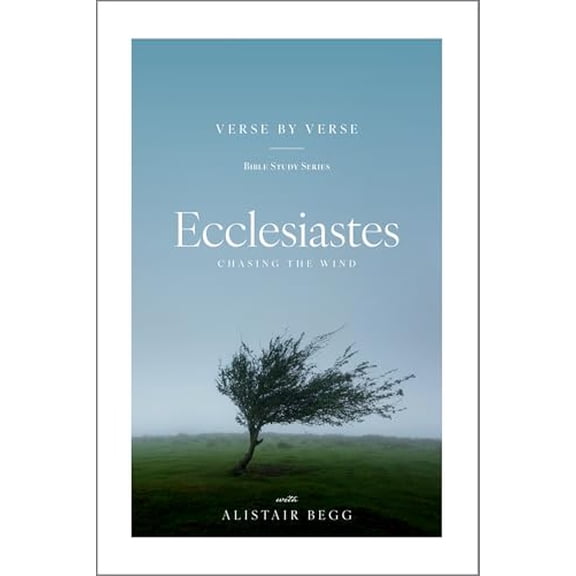 Pre-Owned Verse by Verse Bible Study Ecclesiastes: Chasing the Wind, (Paperback)