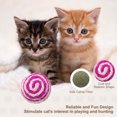 thumbnail image 4 of Uxcell Bite Resistant Catnip Playing, Durable and Interesting, Simulated Mouse Cat Teeth Chew Playing Catnip Filled (Colorful, 3 Pcs), Intended for Bedroom / Balcony (4.3 x 4.3cm), 4 of 7