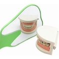 thumbnail image 3 of 7 Piece Handheld Tooth Shaped Mirror, Plastic, Colorful Handle, 3 of 8