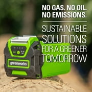 Greenworks 40V 2.5 Ah Battery 2901319