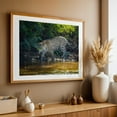 thumbnail image 5 of Jaguar - State of Mato Grosso Brazil Photography Wildlife Animal Nature Jungle Forest Wilderness Unframed Wall Art Print 12 x 18 inches, 5 of 7