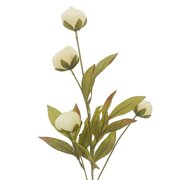 16 Pack: Cream Peony Stem by Ashland