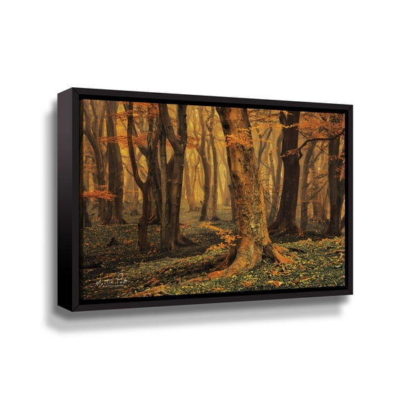 Artwall Sweet Dreams, Gallery Wrapped Floater-framed Canvas by Martin Podt