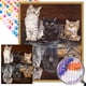 thumbnail image 1 of Kit AB Parcial 5D DIY Con Taladro Feroz Y Dócil 45x55cm, 1 of 9