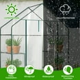 thumbnail image 3 of Mini Walk-in Greenhouse 77In Transparent PVC Cover 4Shelf Indoor Outdoor Plant Gardening Grow Tent Portable Powder-Coated Steel Frame Zippered Door Garden Patio Deck Easy Assembly Waterproof Durable, 3 of 19