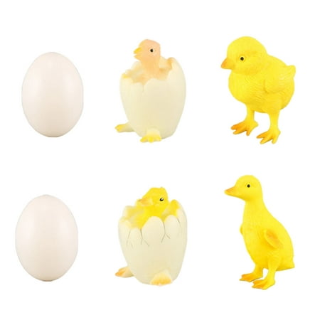 

Rosarivae 1 Set of Chicks Ducks Growth Life Cycle Models Kids Early Learning Cognitive Toys