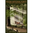 thumbnail image 4 of Brevard, North Carolina, Pisgah National Forest, Deer and Fawn (19x27 inches, Premium 500 Piece Jigsaw Puzzle for Adults and Family, Made in USA), 4 of 4