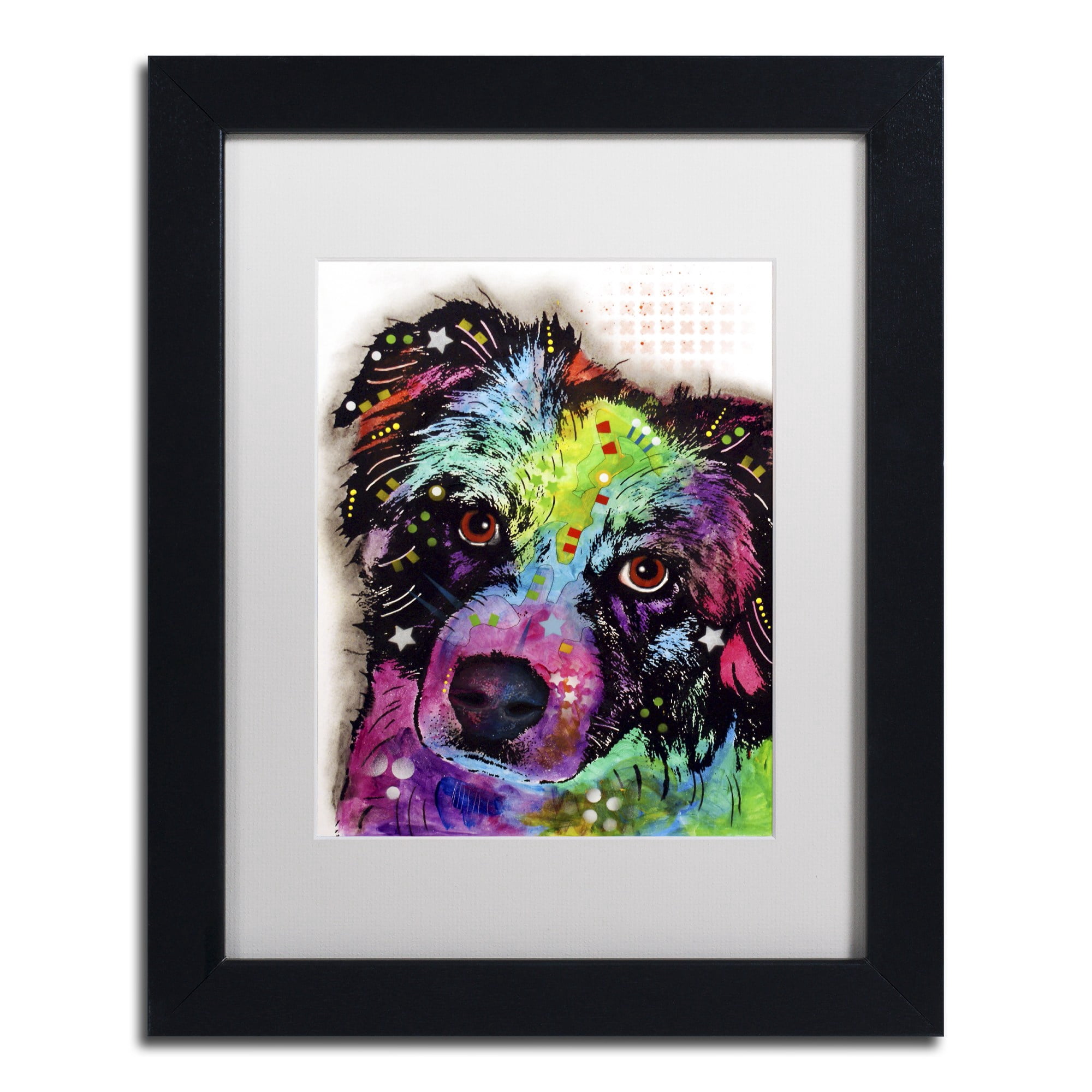 Trademark Fine Art "Aussie" Canvas Art by Dean Russo, White Matte, Black Frame