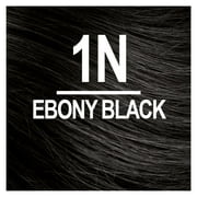 Naturtint 1N Ebony Black Permanent Hair Color, 1 Pack (Packaging May Vary)