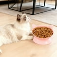 thumbnail image 5 of New Elevated Cat Food Bowl, Cat Bowls Elevated, Ceramic Raised and Tilted Water Bowl, Anti Vomiting and Protect Pets' Spines Dishes for Small Dog, Fat Faced Cat, Kitten, 5 of 6