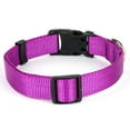 thumbnail image 5 of Country Brook Petz® Bright Purple Everyday Nylon Dog Collar and Leash, Large, 5 of 7