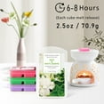 thumbnail image 2 of SCENTORINI Scented Wax Melts, Assorted Wax Cubes Scented Candles, 2.5 oz(8 Pack), 2 of 7