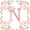 Pink White N, variant on Catabedysis Flowers ABC Print A Bedding,Personalized Monogrammed Gifts Duvet Cover Full For Girls,Pink Reversible,3pcs,1 Duvet Cover and 2 Pillowcases