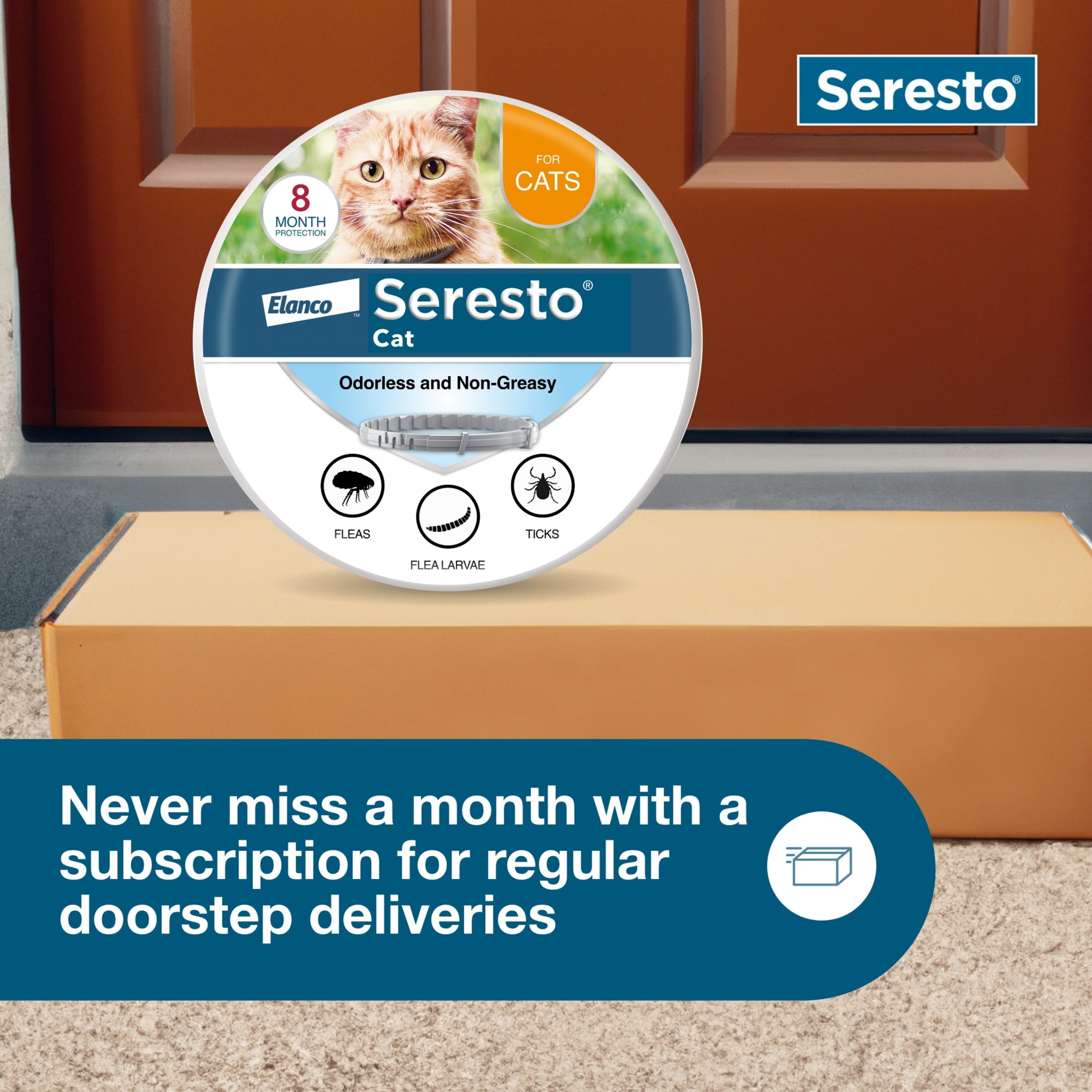 Best price on clearance seresto collars for cats