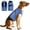 Blue, variant on Amztom Dog Anxiety Vest – Calming Jacket for Thunder, Fireworks & Vet Visits, Adjustable Fit for Small to Large Dogs (Blue, S)