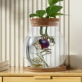 thumbnail image 2 of Desktop Fish Bowl Hydroponic Terrarium Glass Small Fish Tank with Bamboo Cushion, 2 of 4
