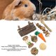 thumbnail image 3 of Juego de juguetes molares de animales pequeños dientes de columpio de túnel flexible juguetes de hámster libres de tóxicos cuerda de pastel de hierba bola de cuerda de ANGGREK Otros, 3 of 8