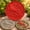 Cardinal, variant on Reusable Sunflower Stepping Stone Mold, Large 15.7inch Cement Mould | Garden Walkway Path Stones,Paver Form with 3D Daisy Design, Outdoor Yard Decor Paintable Kit(Pumpkin)
