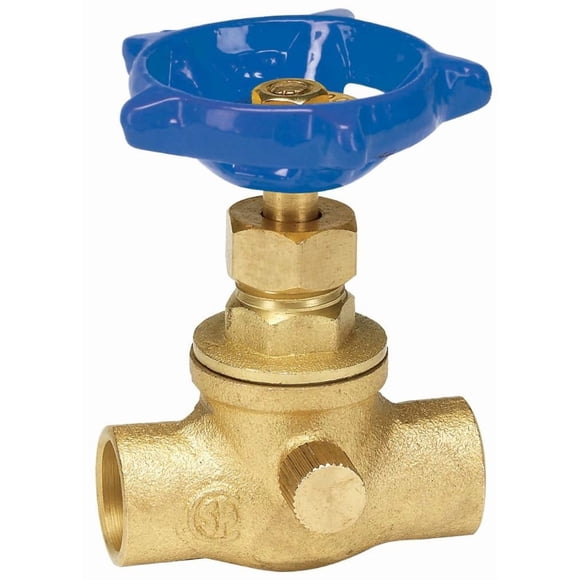 Válvula de retención oscilante Homewerks de latón, 0,75 pulgadas, 125 PSI