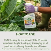 Garden Safe Brand Houseplant & Garden Insect Killer, 32 Ounces