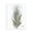 Date Palm Leaf Tropical Modern, variant on Stupell Industries Scandinavian Tropical Green Palm Fan Minimal on White Canvas Art, 16 x 20, by Melissa Hyatt