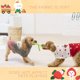 thumbnail image 5 of 2 suéteres para gatos, ropa para mascotas, suéteres para perros, suéteres cálidos de invierno para mascotas MFZFUKR BST2001559-4, 5 of 6