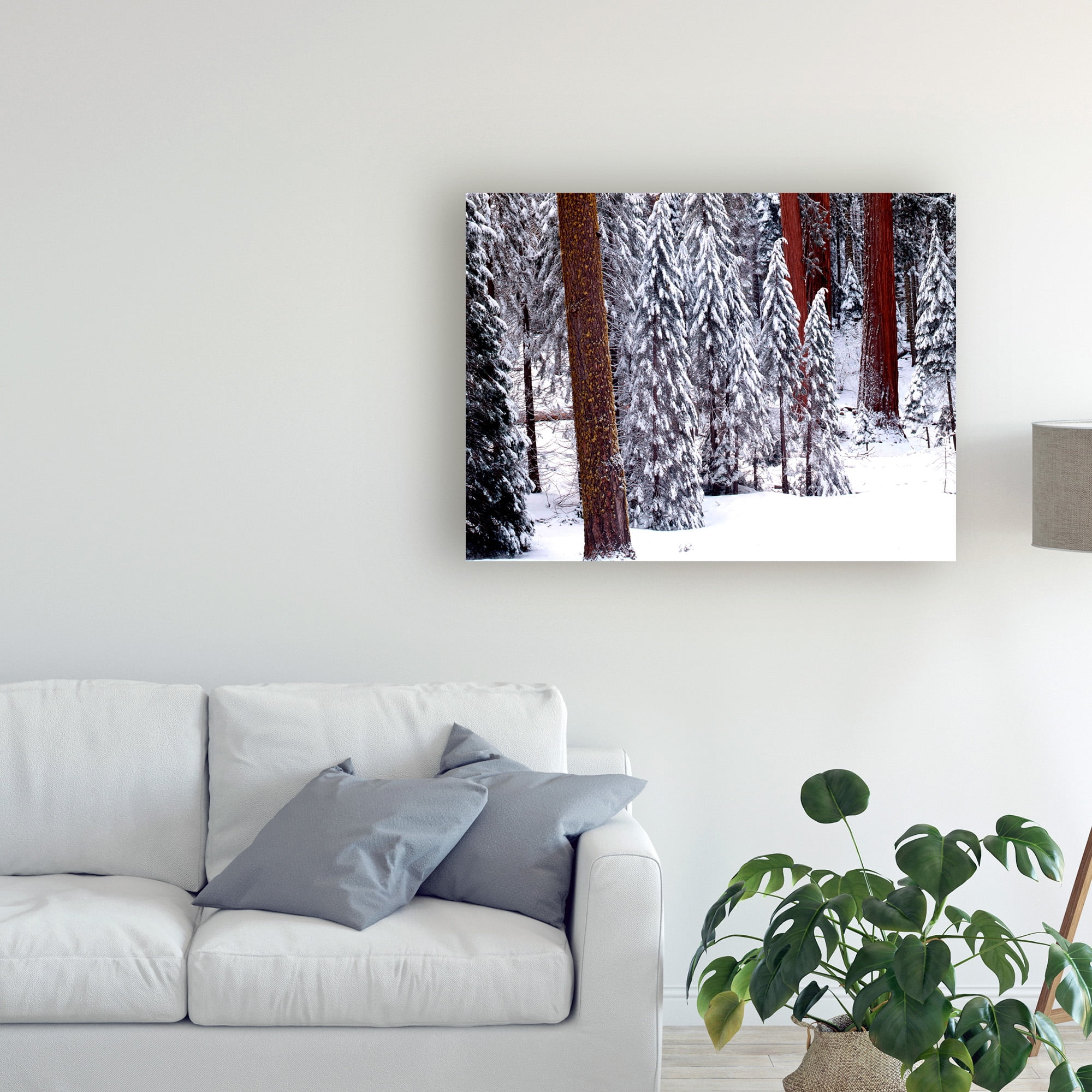 Trademark Fine Art 'Pines In Winter California' Canvas Art by Monte Nagler