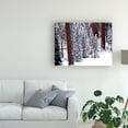 thumbnail image 3 of Trademark Fine Art 'Pines In Winter California' Canvas Art by Monte Nagler, 3 of 3