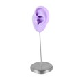thumbnail image 3 of Organizador de modelos de orejas de silicona, soporte de exhibición de aretes reutilizable para partes del cuerpo. Púrpura a la izquierda, 3 of 9