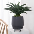 thumbnail image 4 of Soucoupe pour Plantes à 5 Roues, Plateau d'Égouttement Mobile pour Pot de Fleurs Rond, 4 of 5